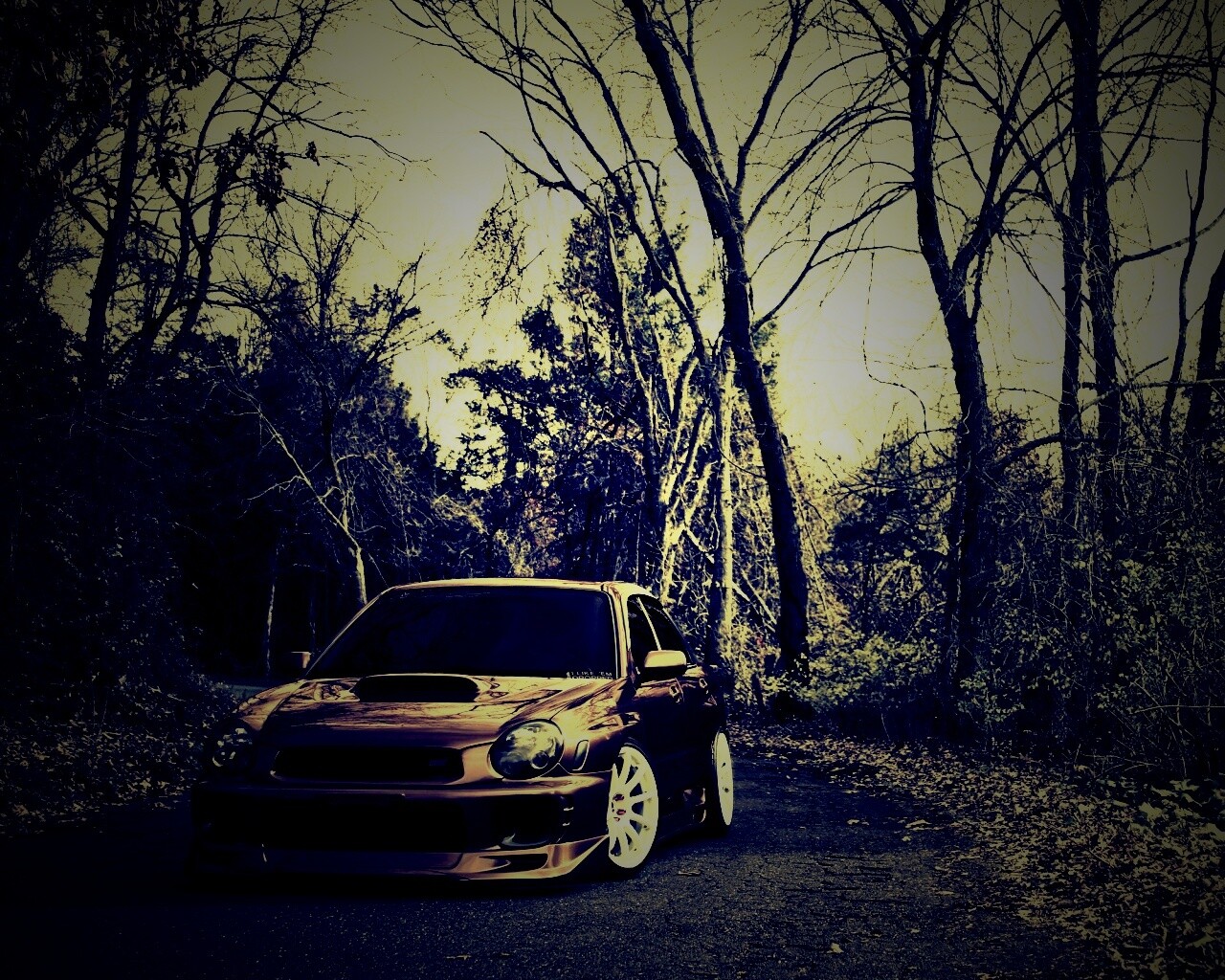 Субару Импреза на лесной дороге обои