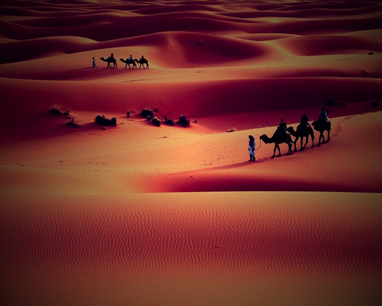 Караваны пустыни обои