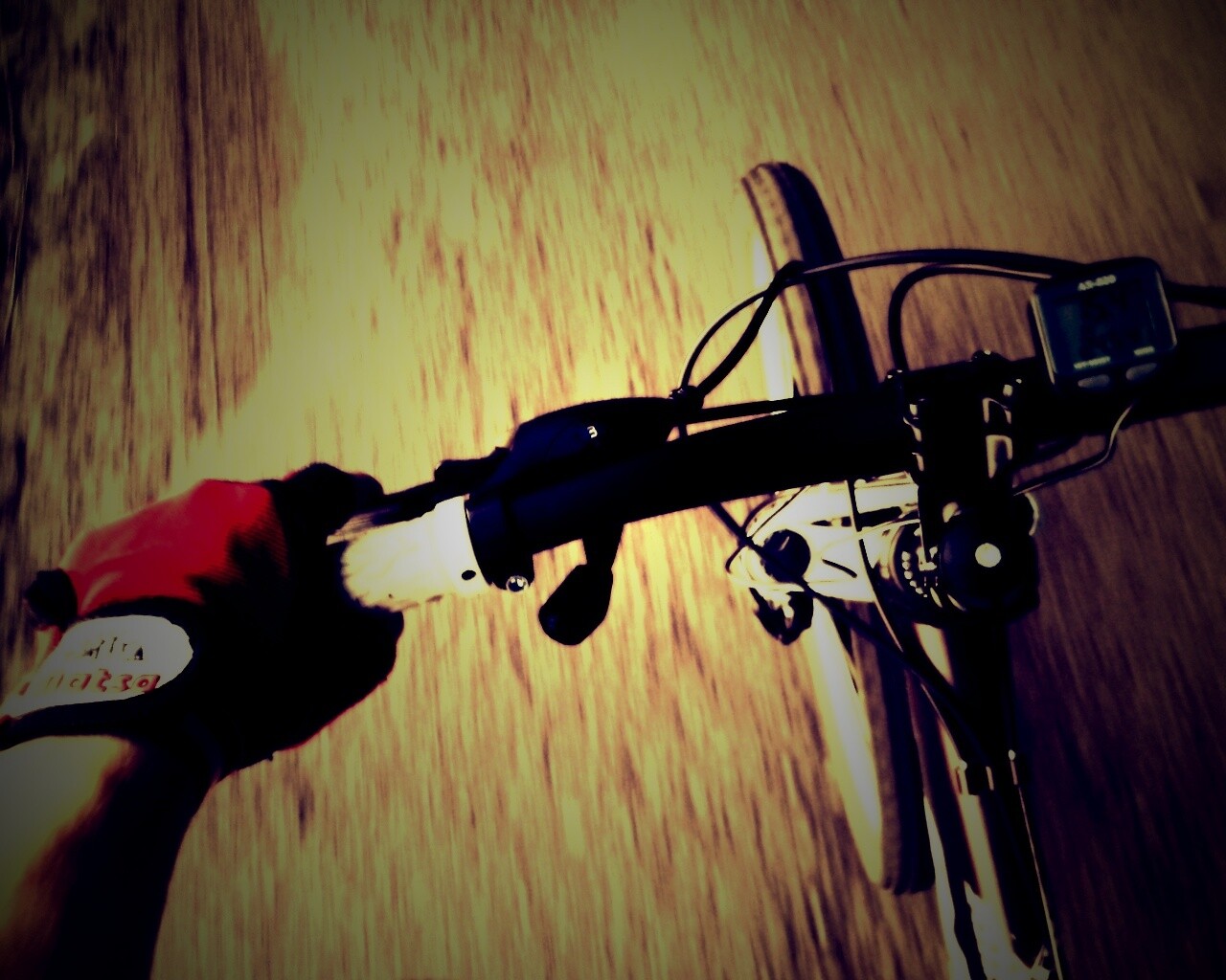 Катание на велосипеде обои