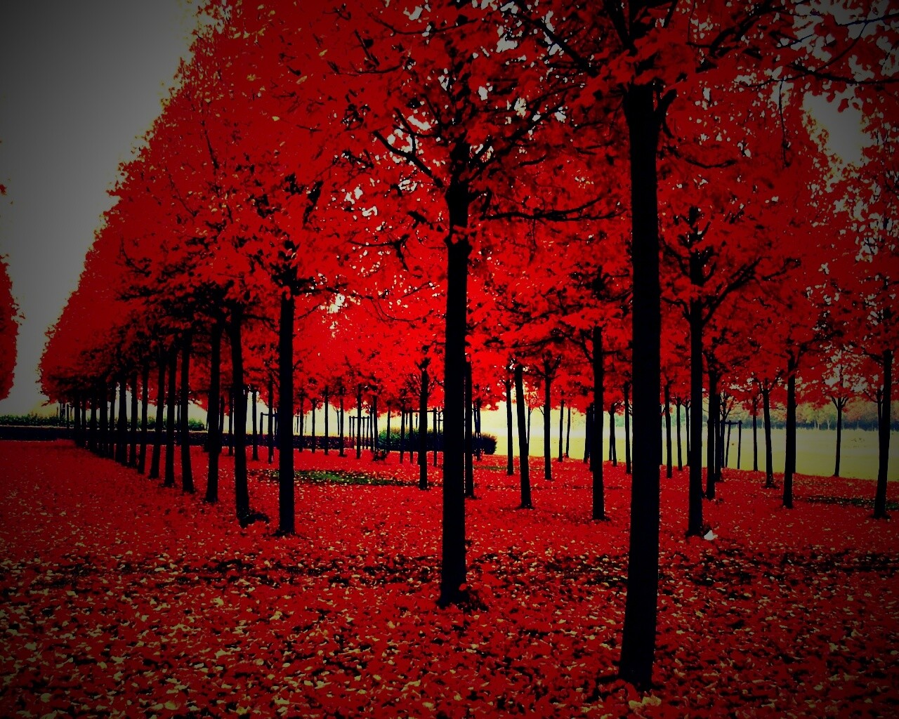 Скачать бесплатно осень обои