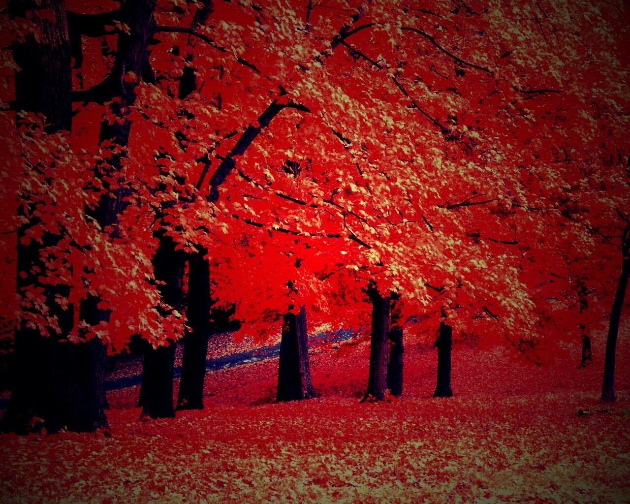 Парковая осень обои