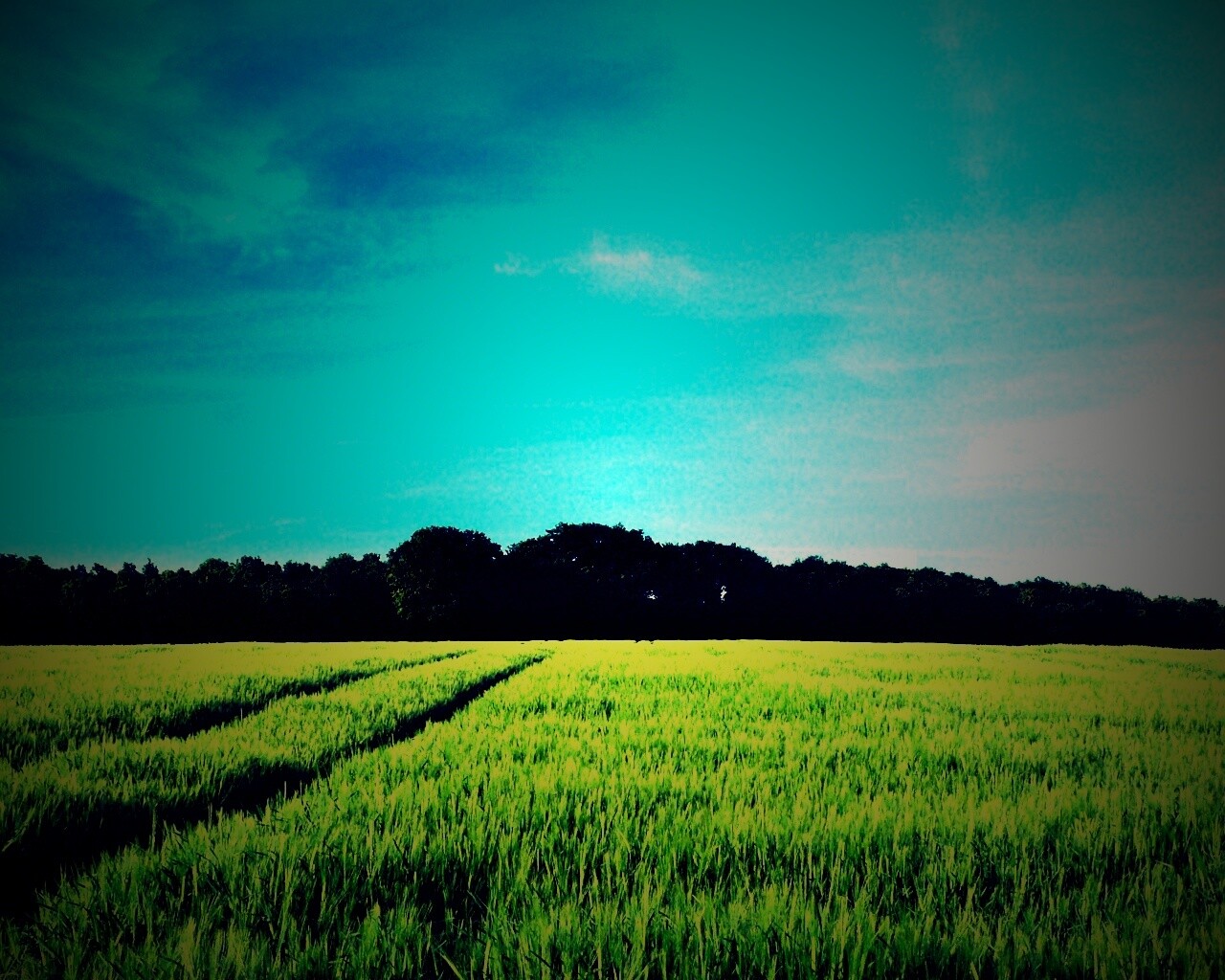 Следы колеи в поле обои