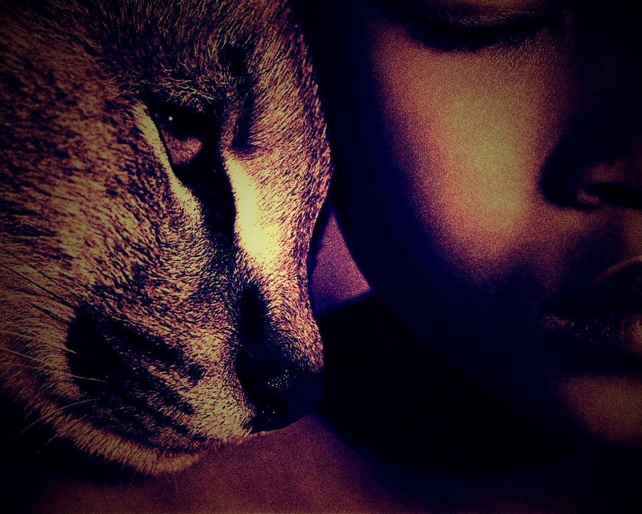 Человек и природа обои