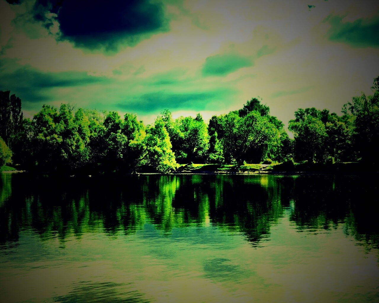 Деревья на берегу озера обои