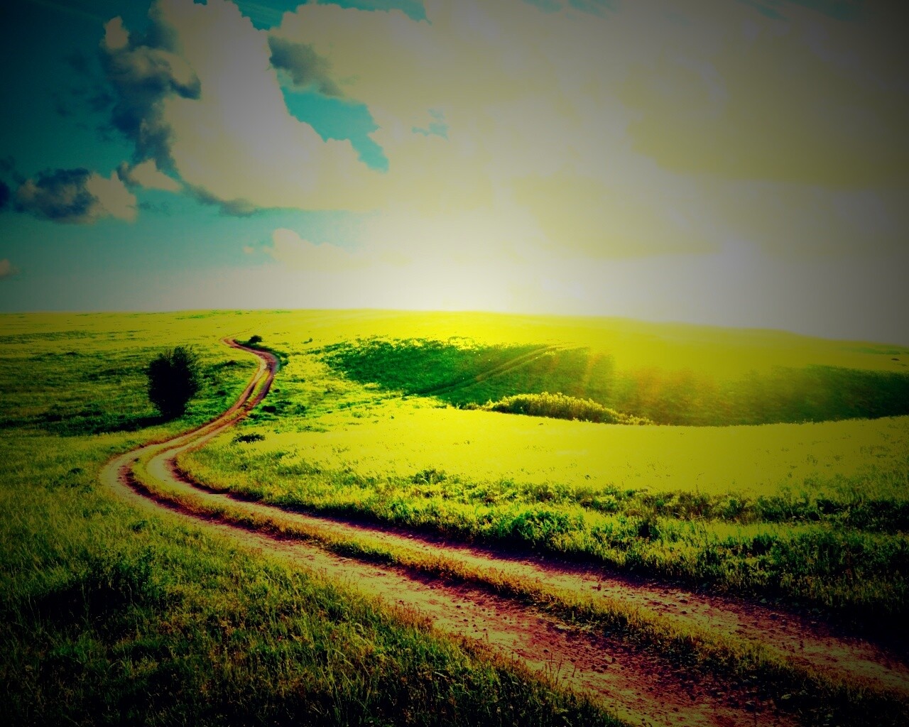 Дорога через луг обои