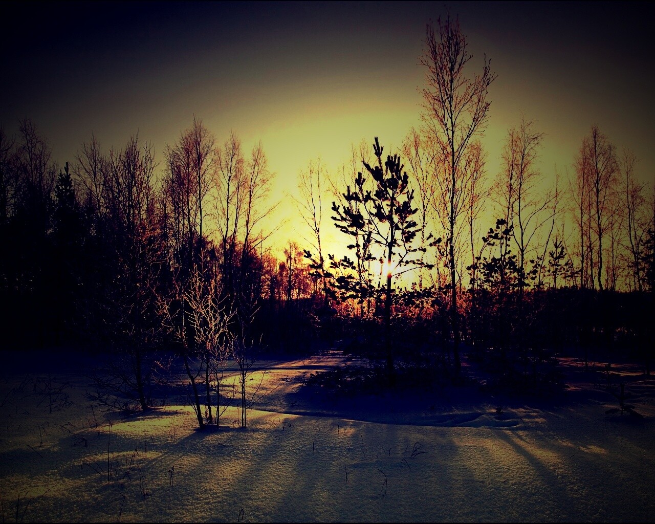 Зимний лес обои