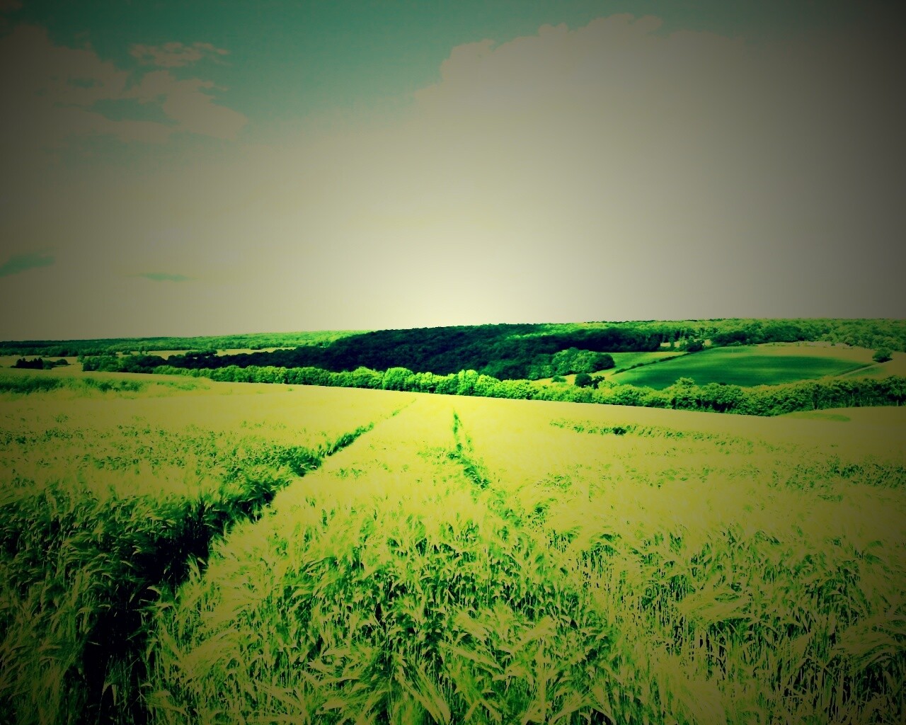 Бескрайние просторы обои