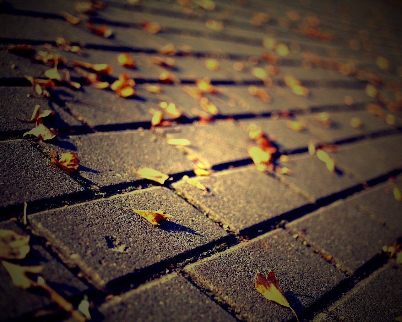 Тротуар обои