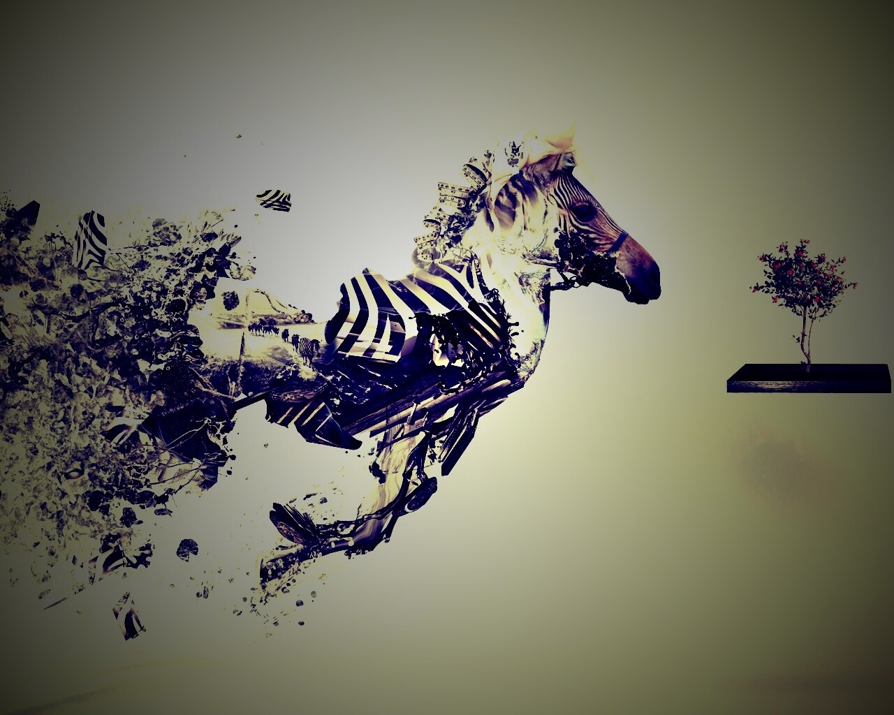 Зебра и бонсай обои