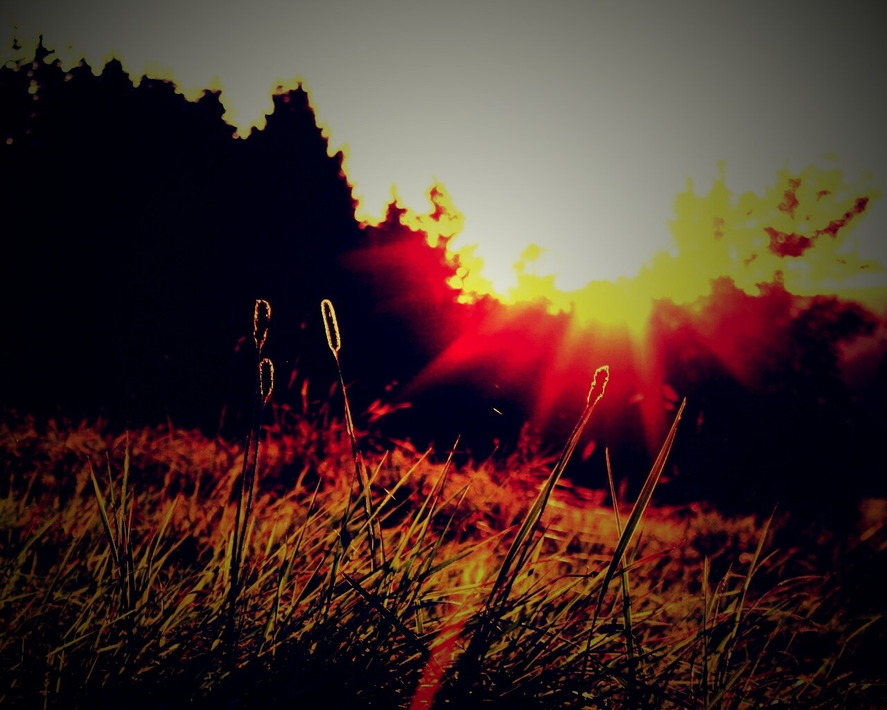 Красота природы обои