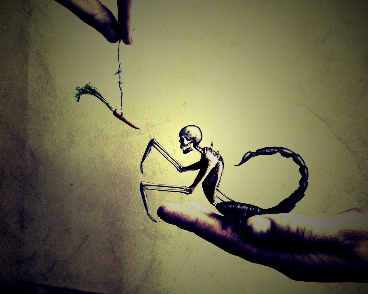 Кормёжка смерти обои