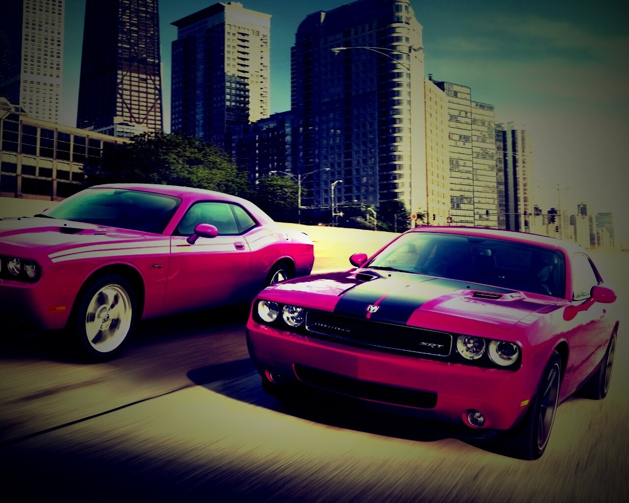 Два розовых мускулкара обои