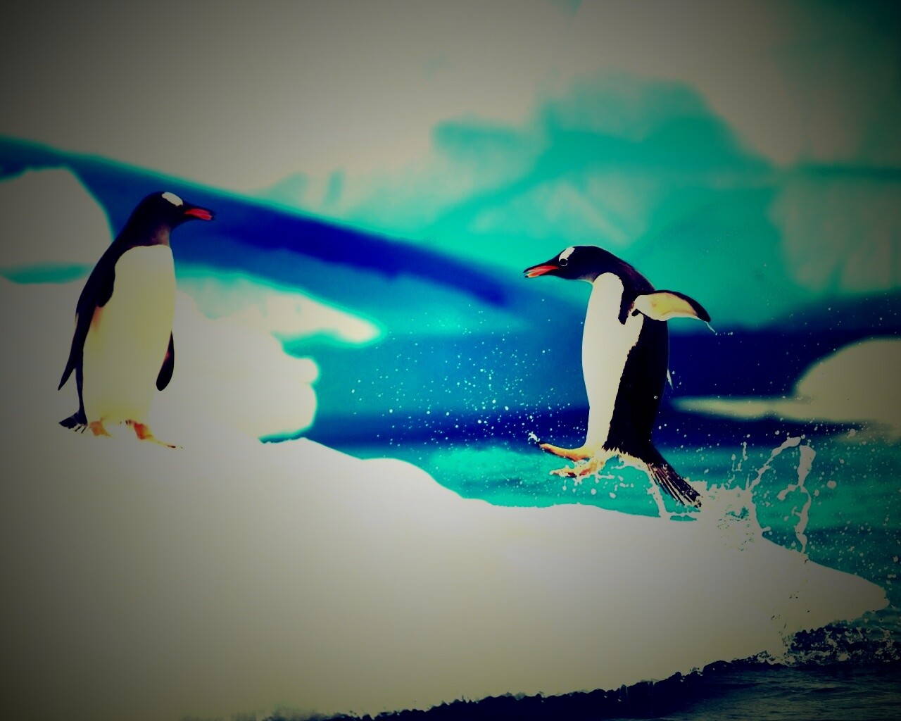 Пигвин запрыгивает на льдину обои