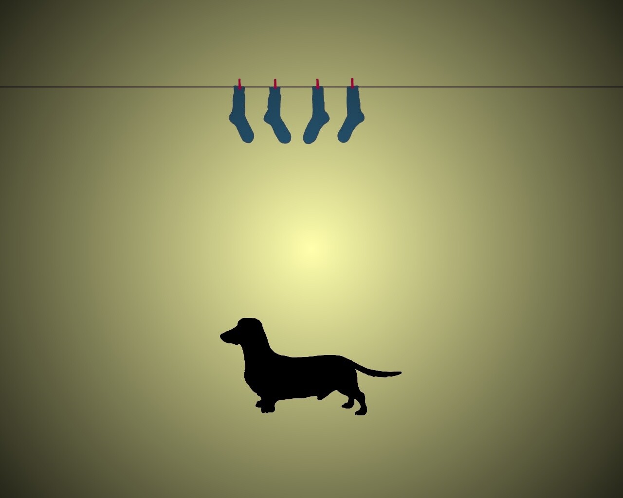 Такса и носки обои