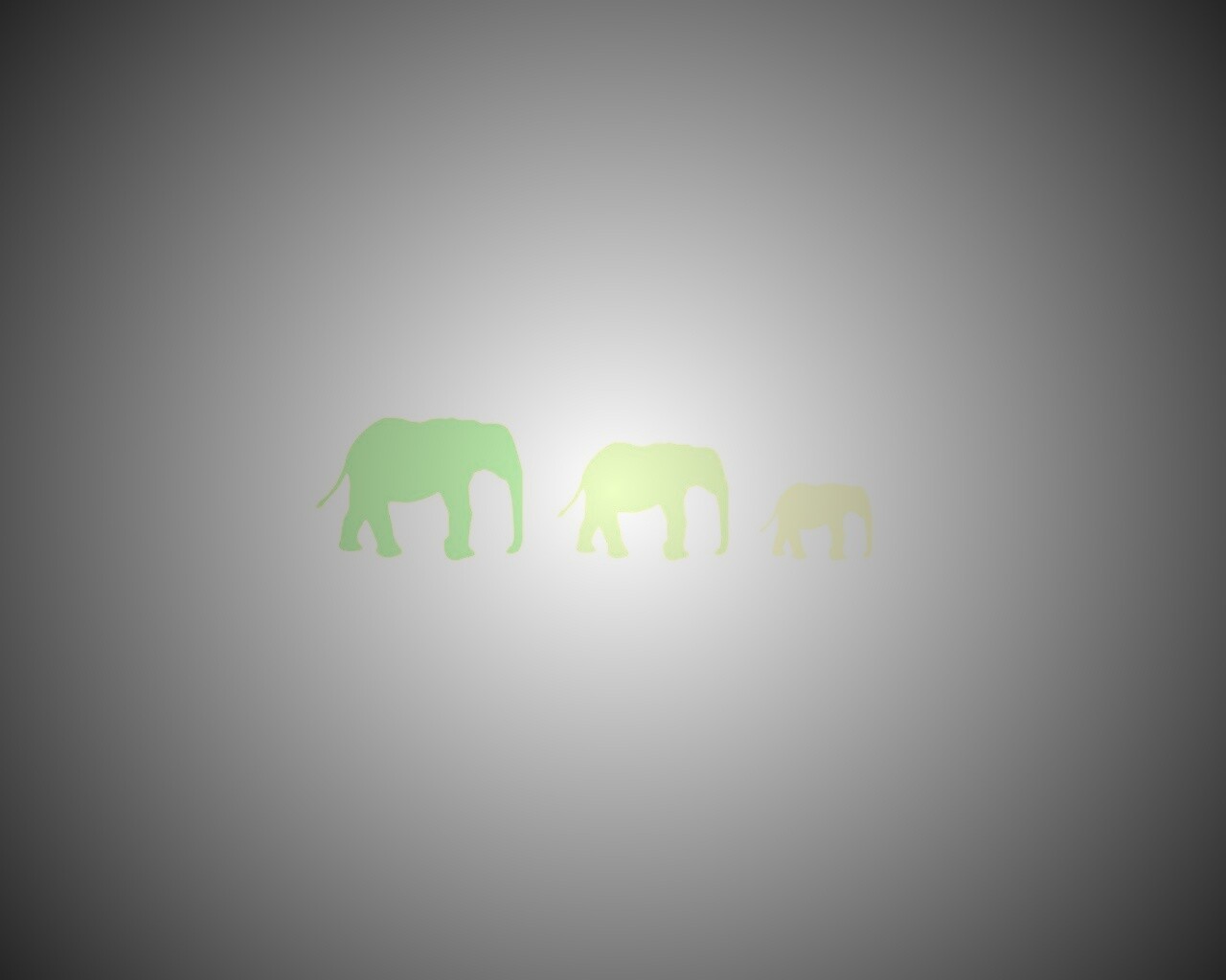 Вереница слонов обои