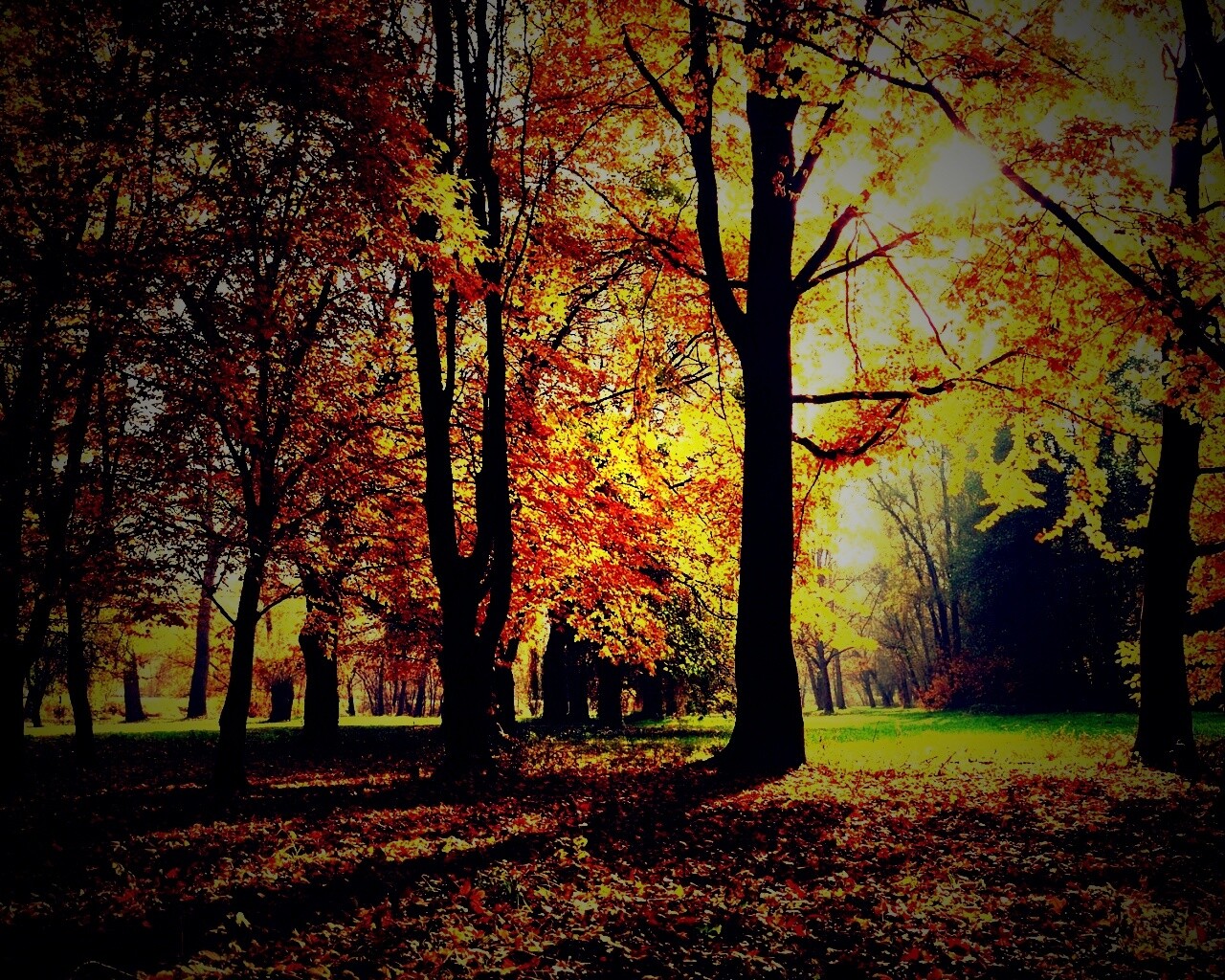 Осенний листопад в парке обои