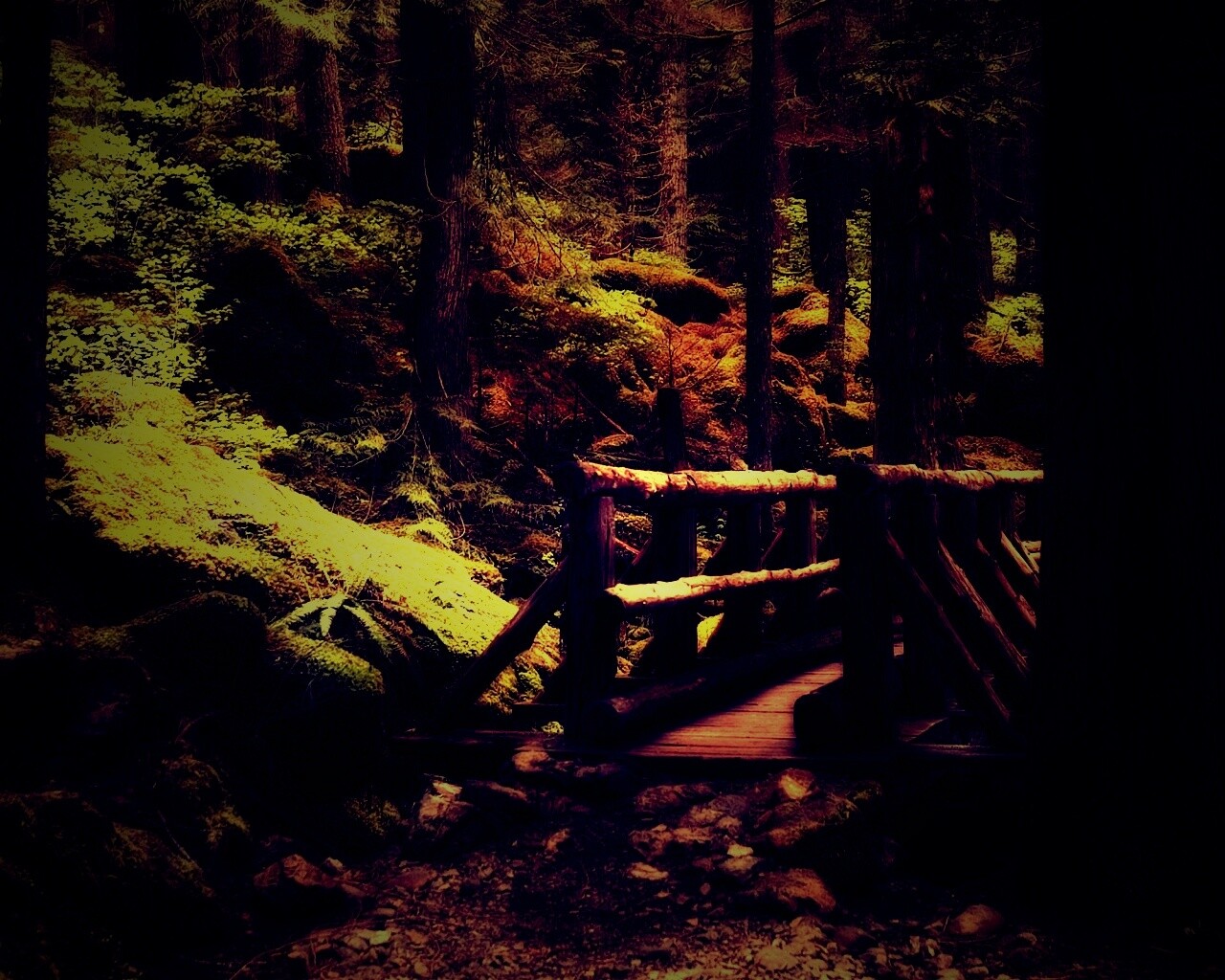 Бревенчатый мост в лесу обои