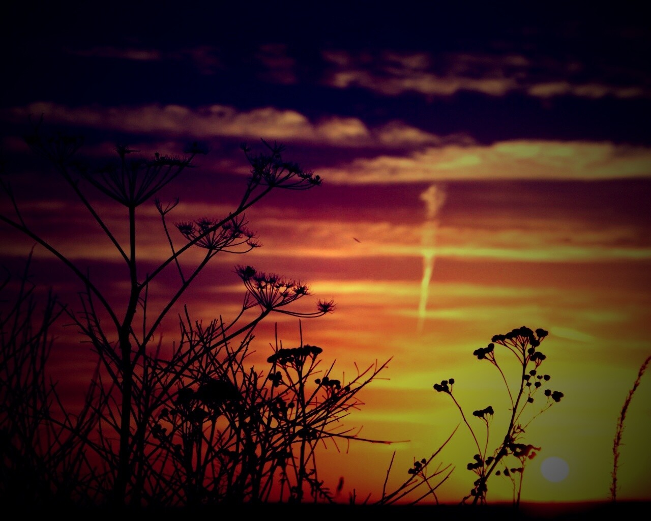 Степной закат обои