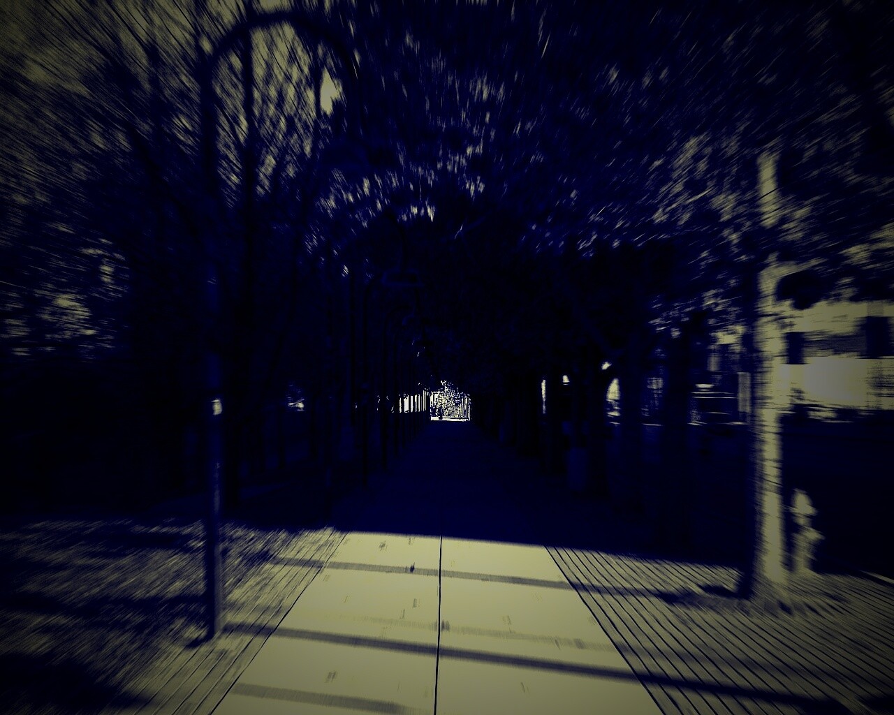 В парке обои