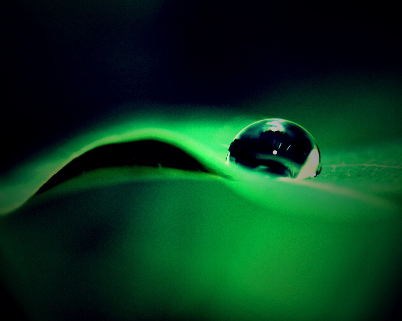 Фотография капли воды в макро обои