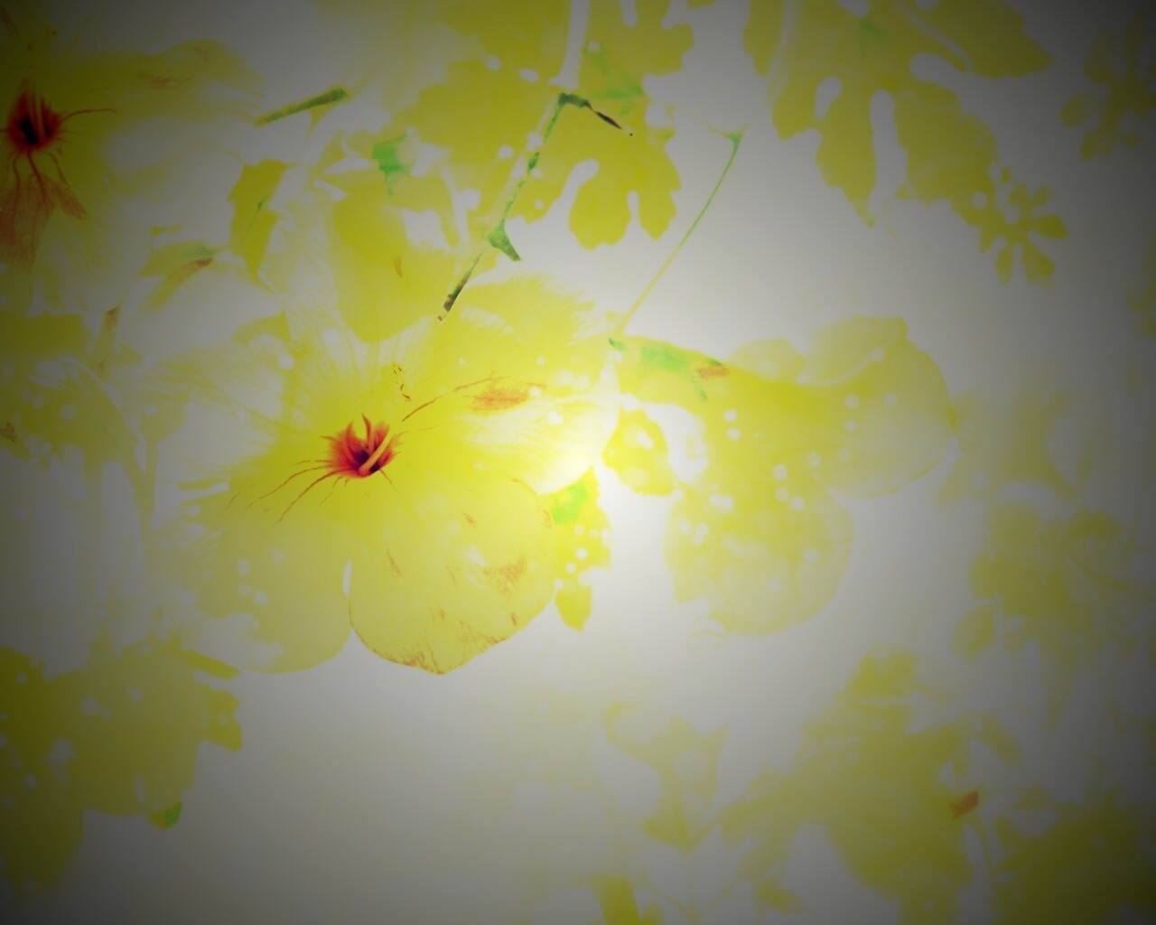 Цветочное настроение обои