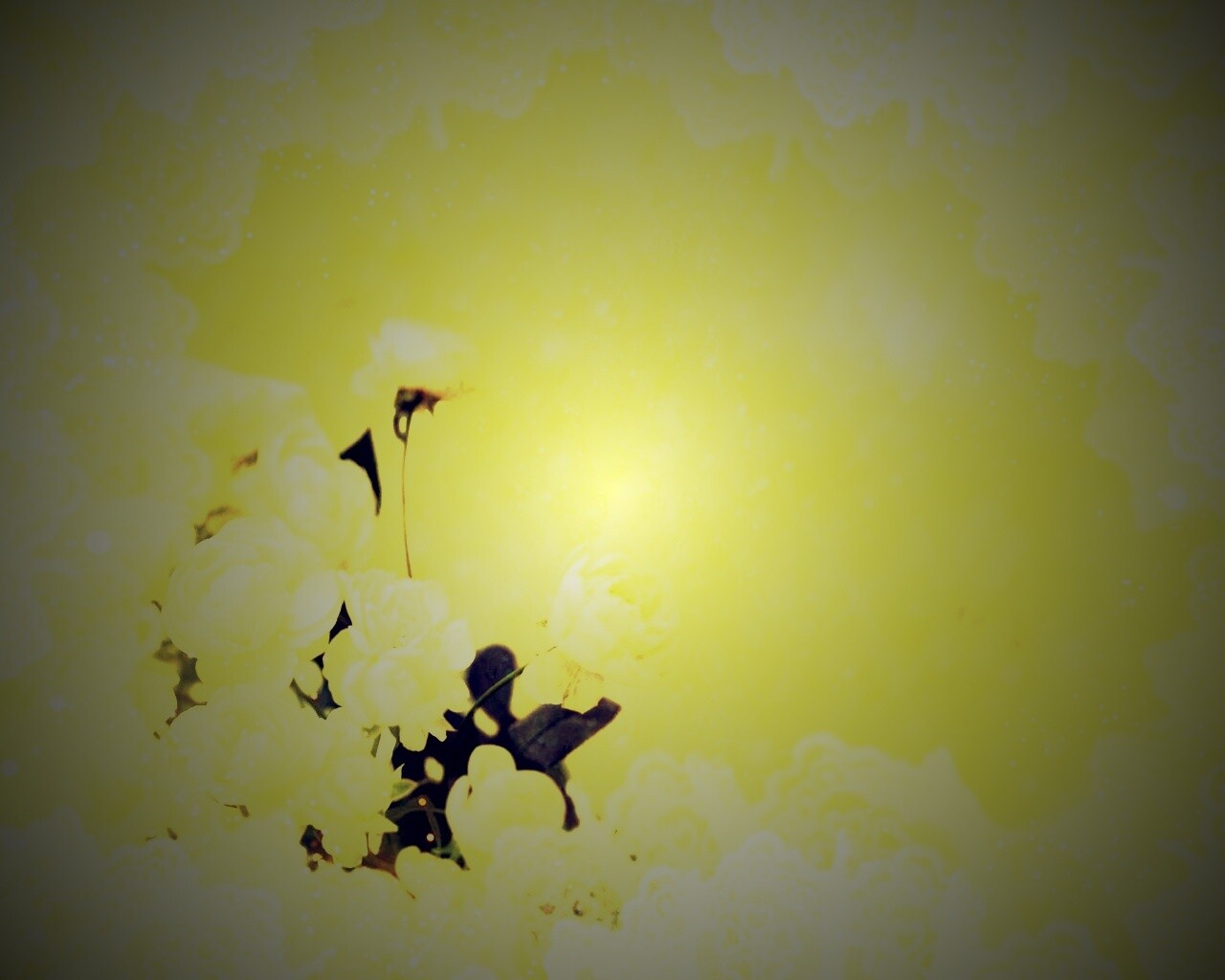 Бежевые кружева и розы обои