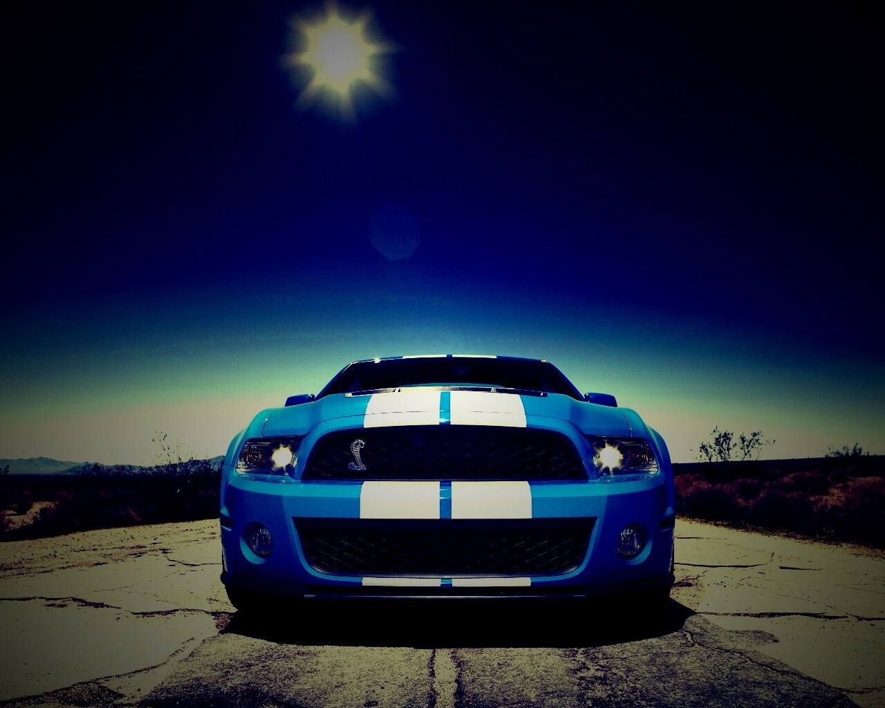 Форд Шелби обои