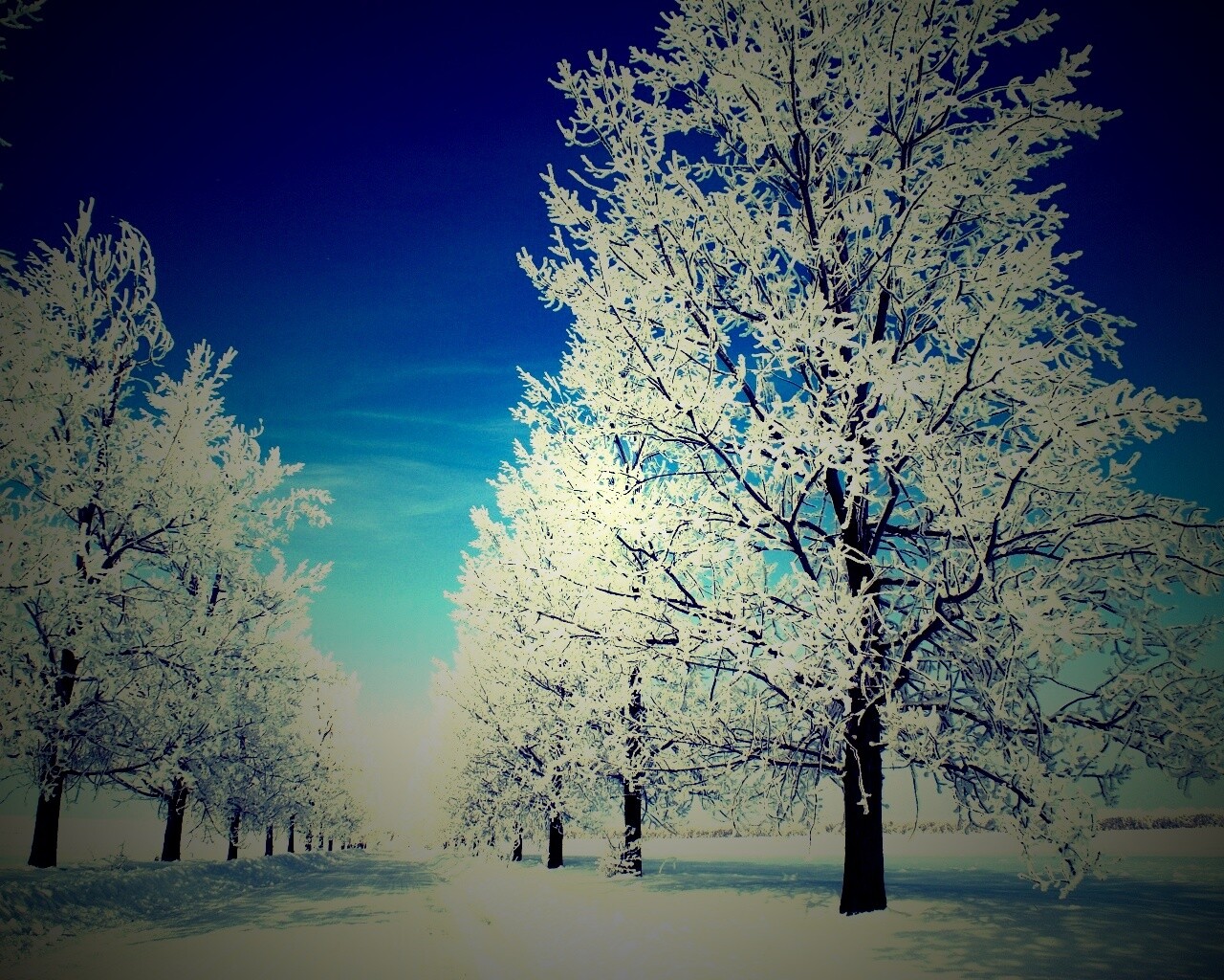 Снежная долина обои