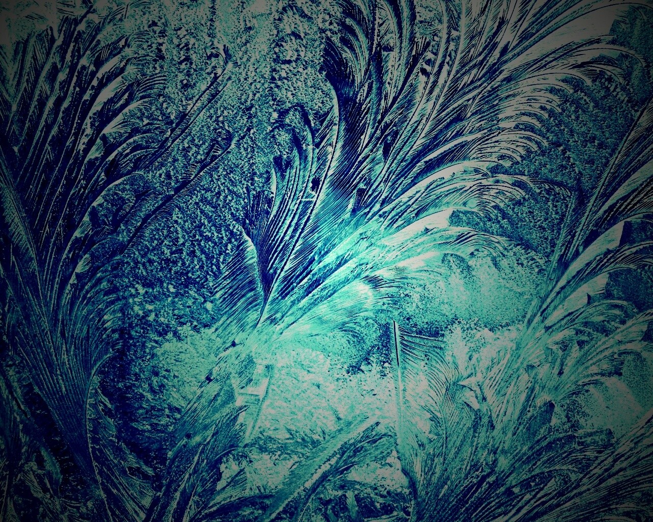 Зимние узоры обои