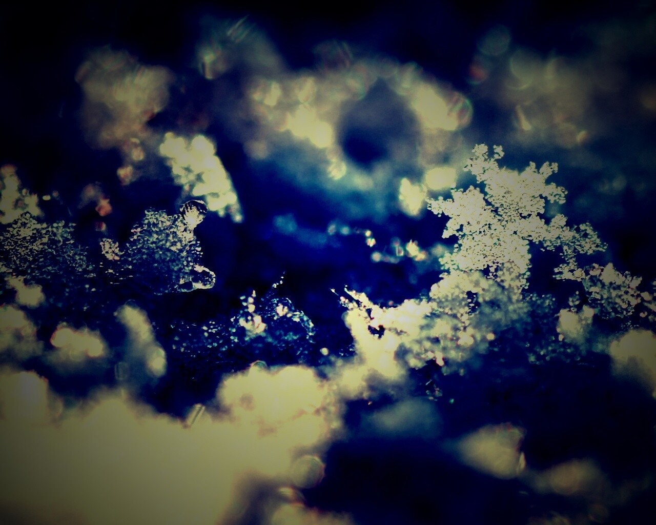 Макро фото снега обои