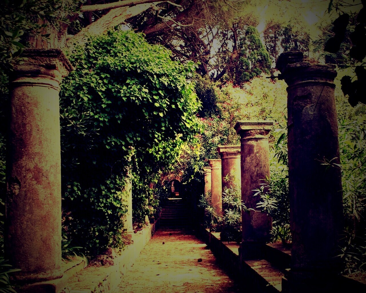 Галерея зимнего сада обои