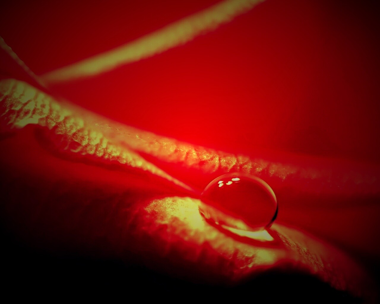 Капелька обои