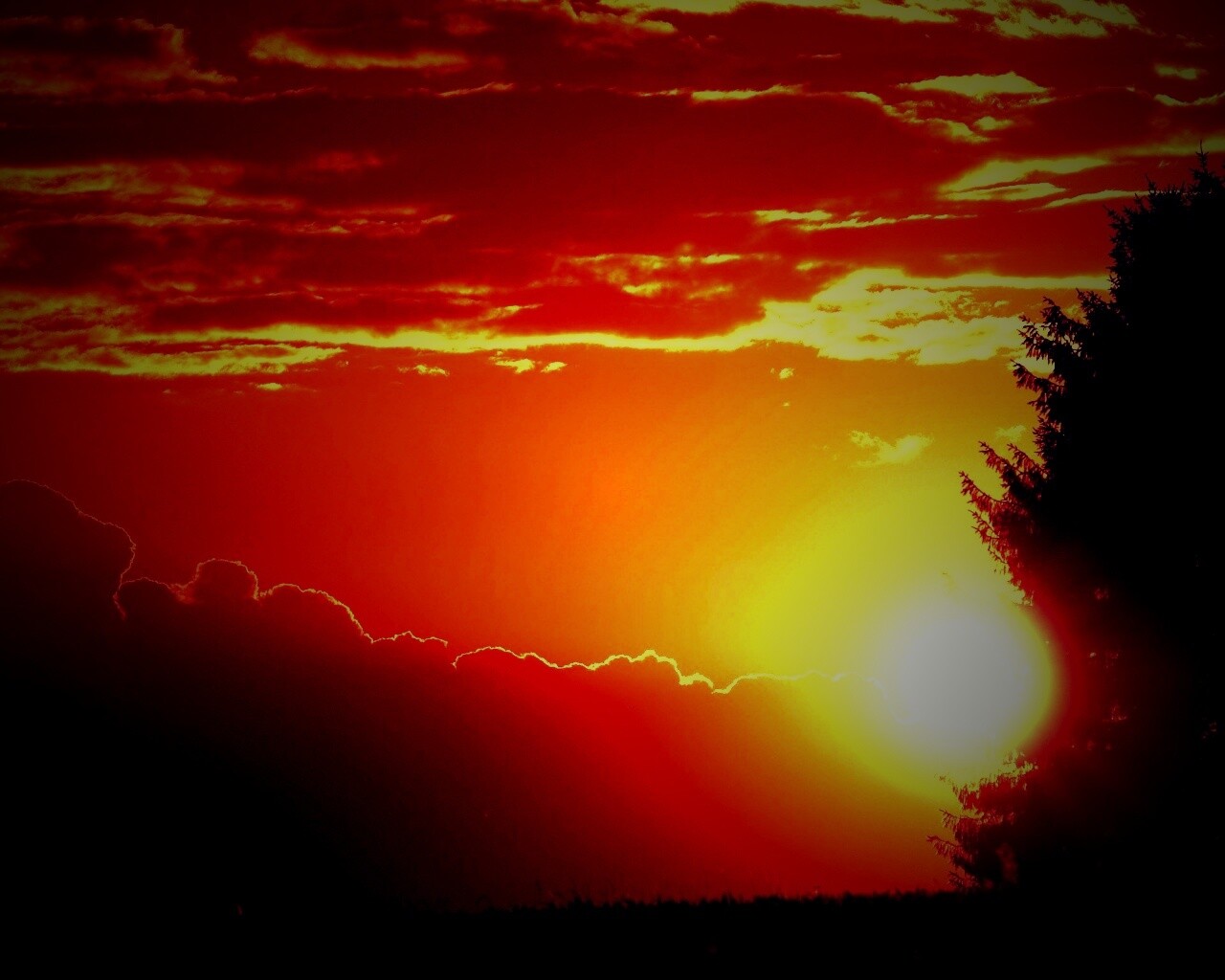 Теплый закат над полем обои