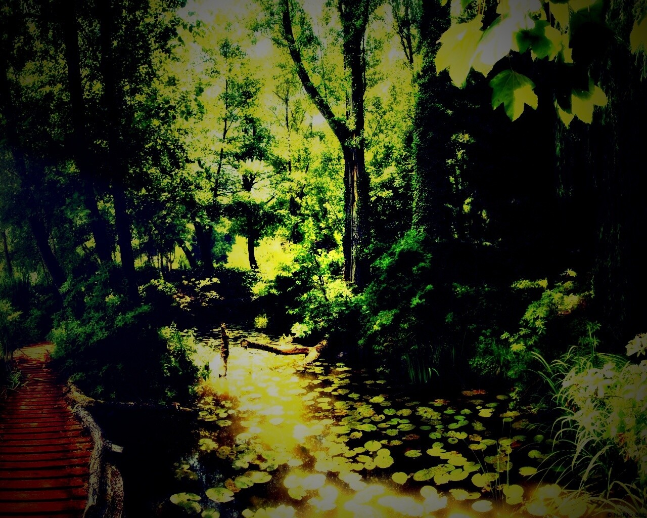 Пруд в лесу обои