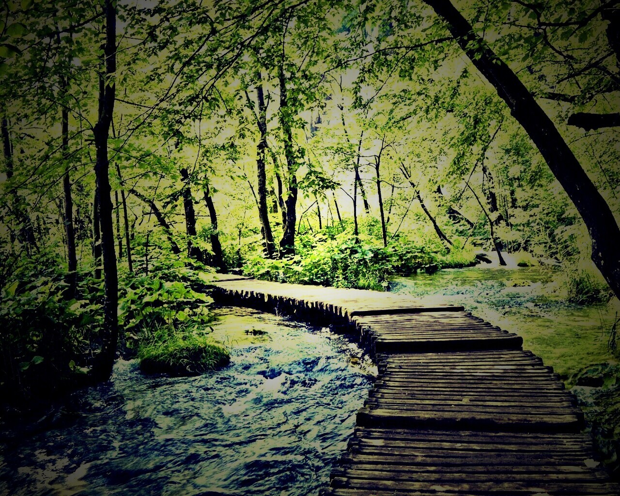 Тропинка над водой обои