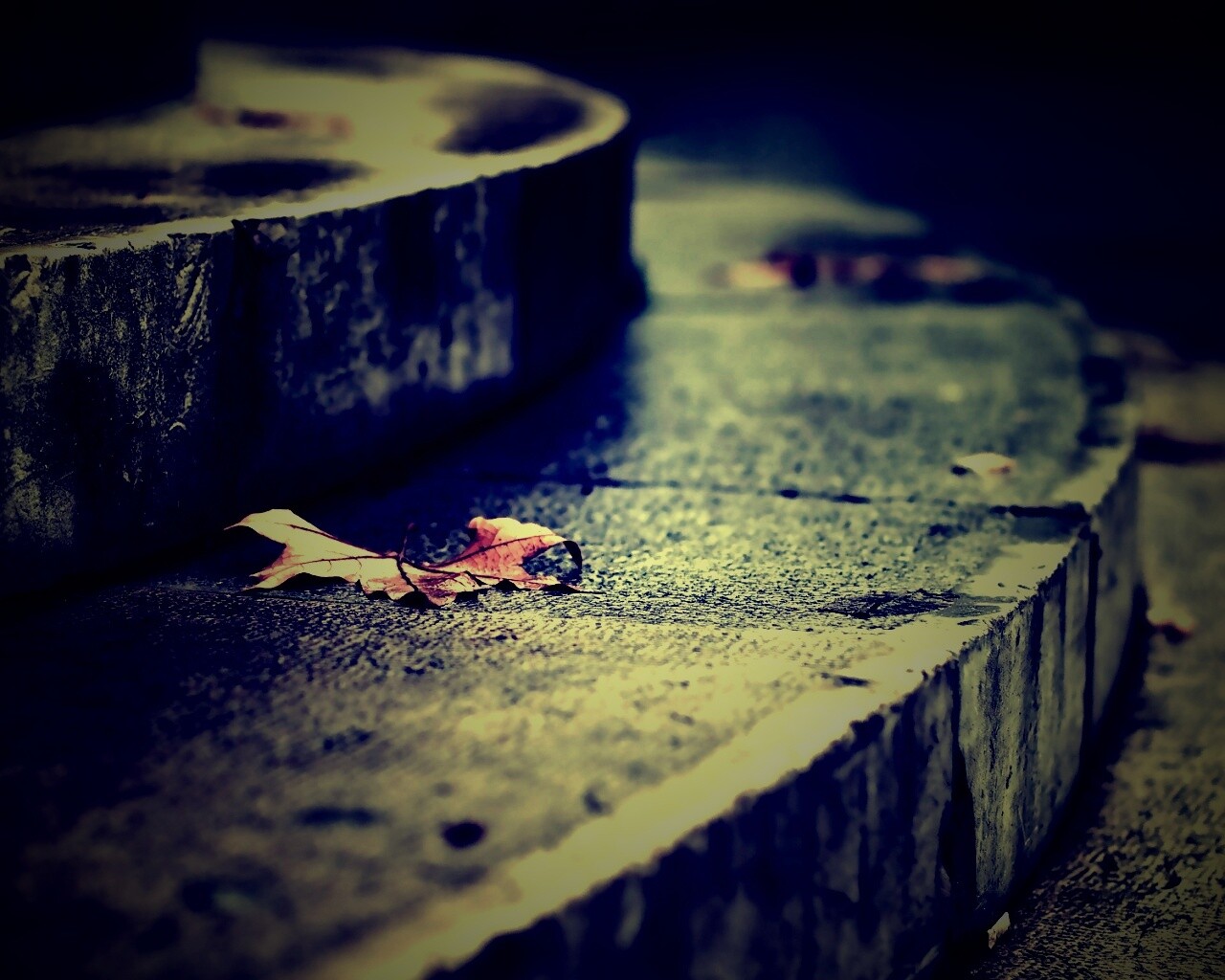 Лист на ступеньках обои