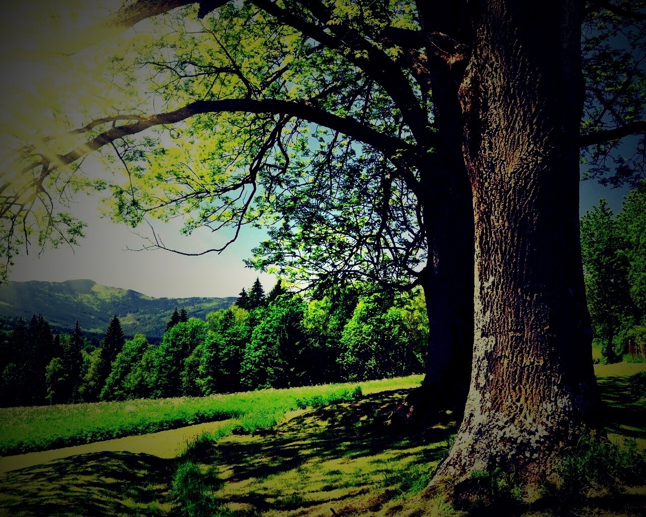 Лето в деревне обои