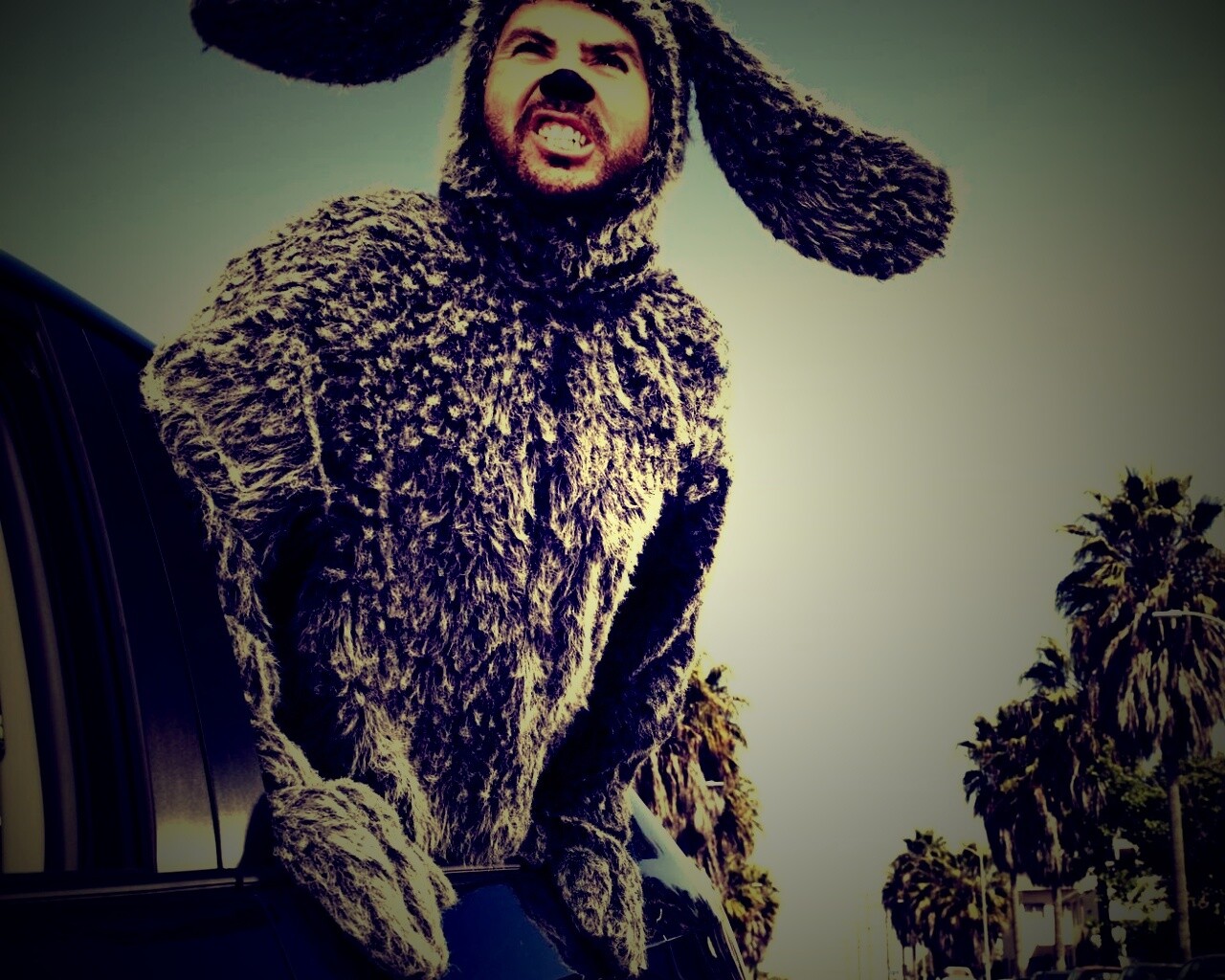 Wilfred обои