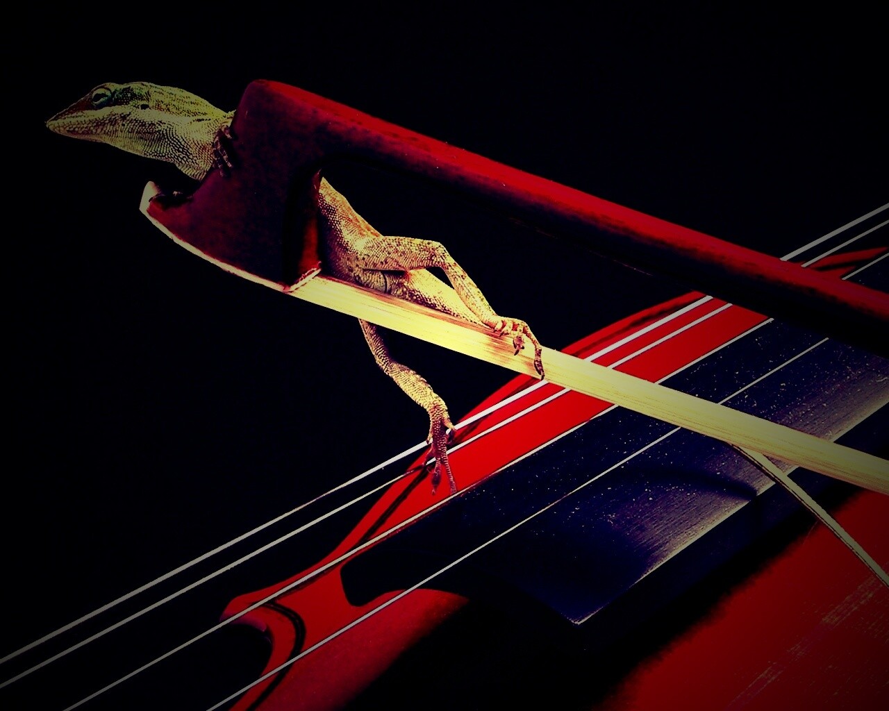 Ящерка на виолончели обои