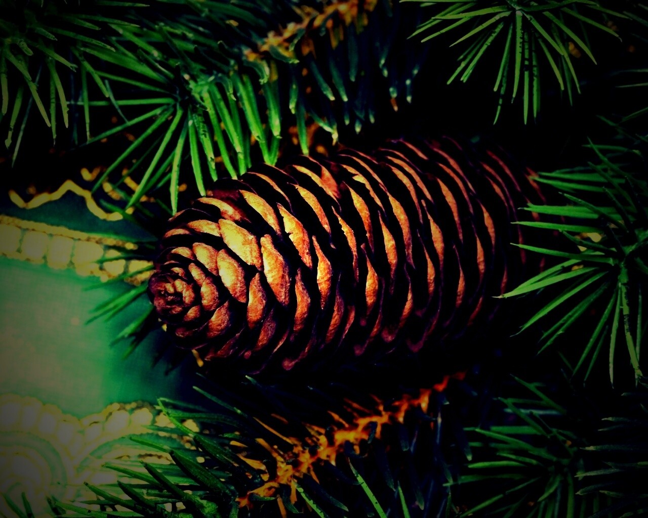 Шишка на елке обои