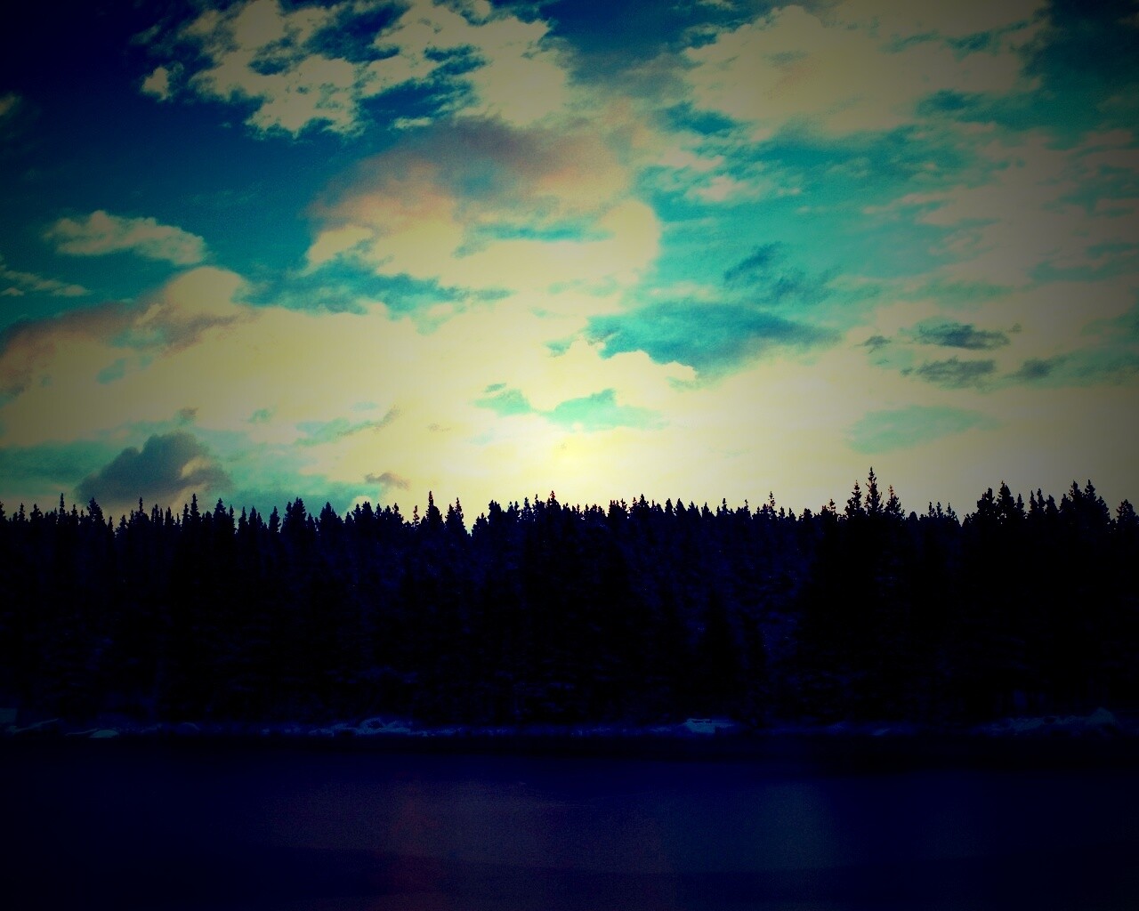 Лес на озере обои