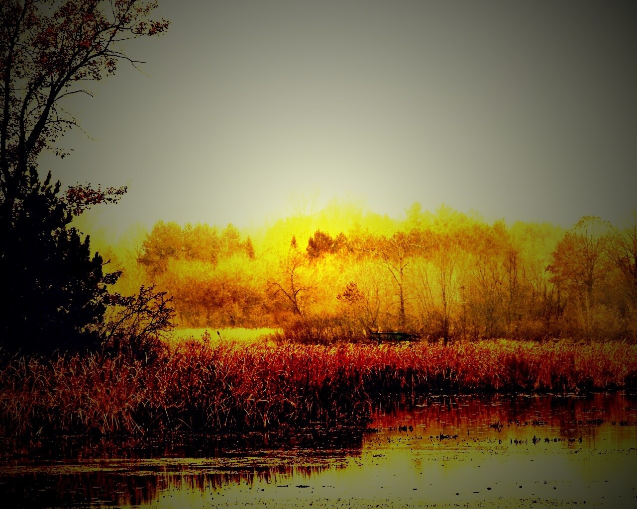 Живописные болота обои