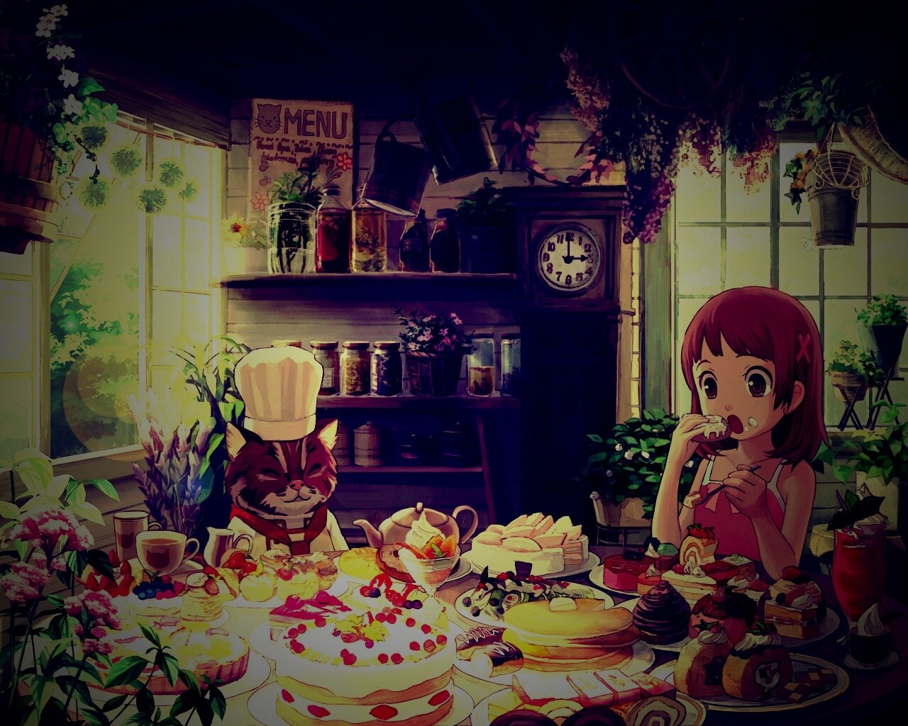 У кота повара обои