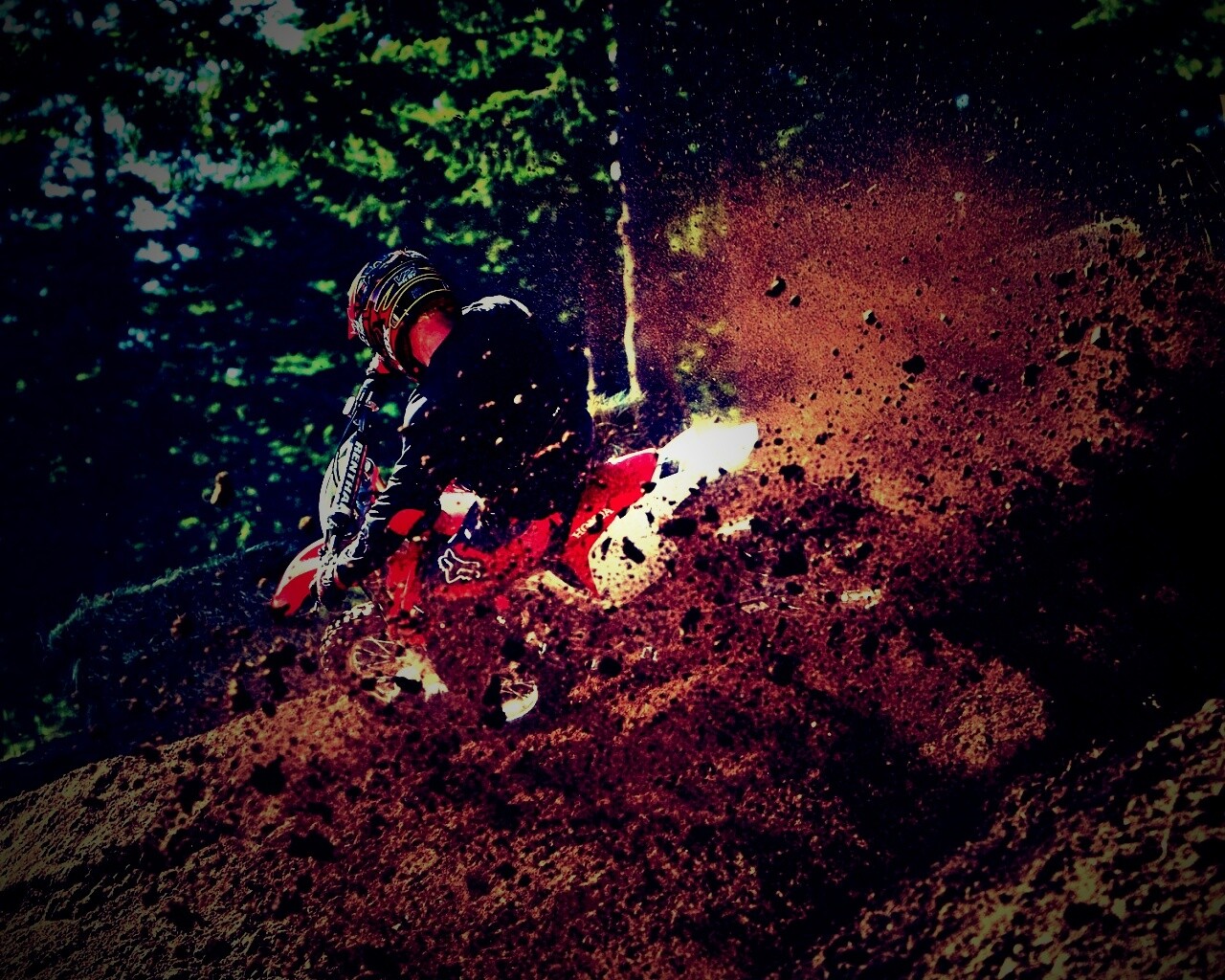 Моторалли обои