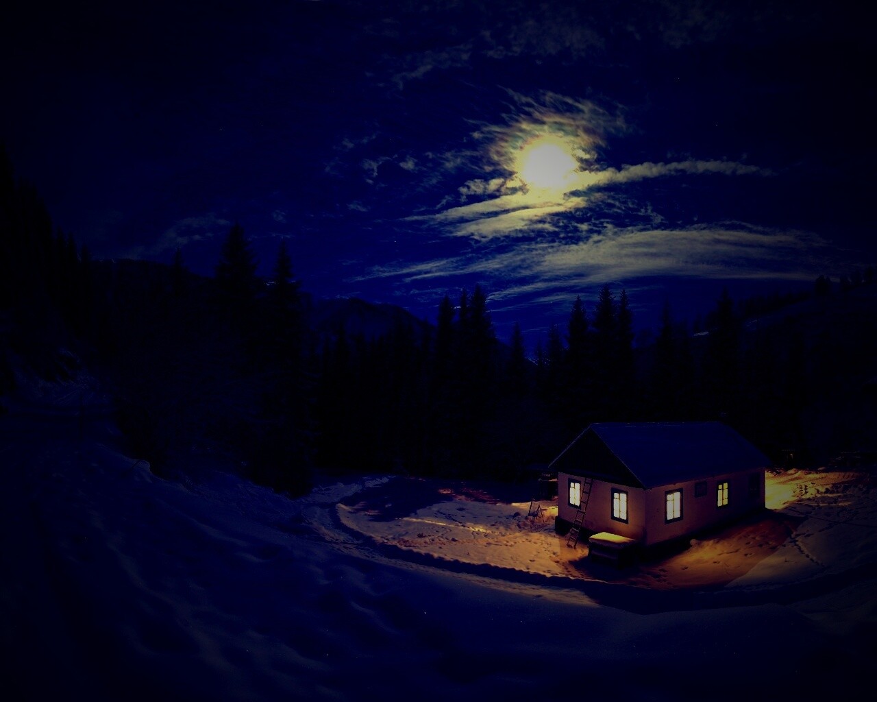 Один в зимнем лесу обои