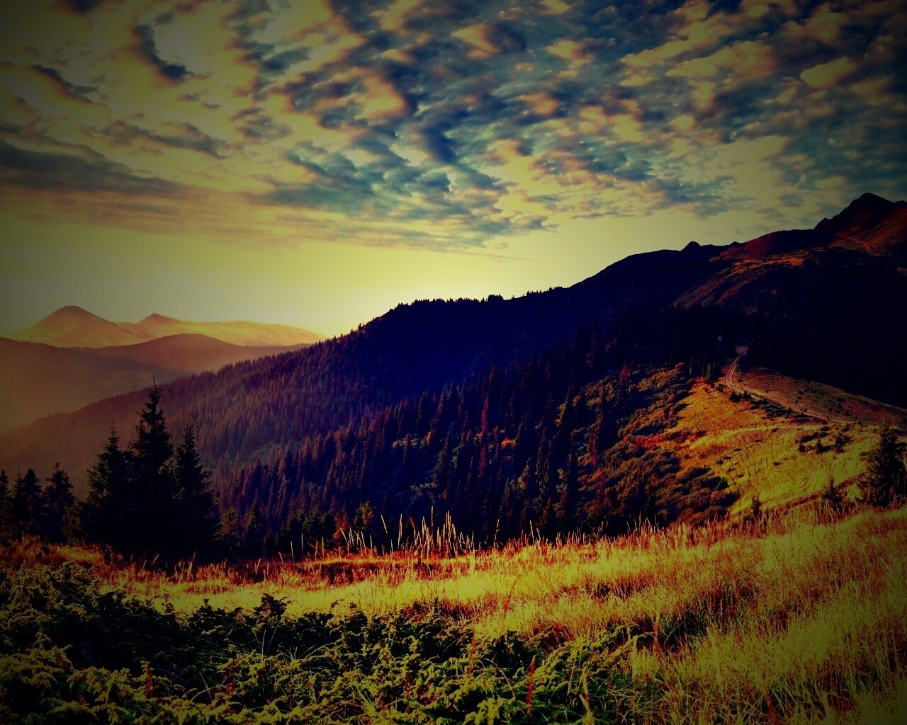 Предгорье обои