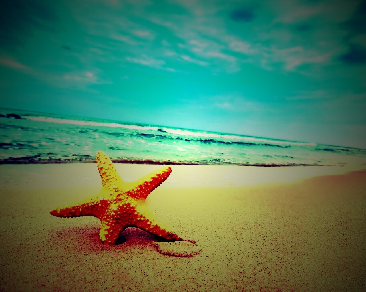 Морская звезда в песке обои