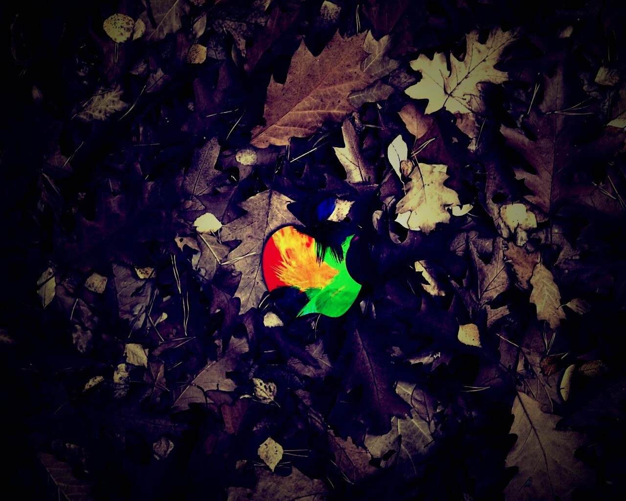 Яблоко в листьях обои