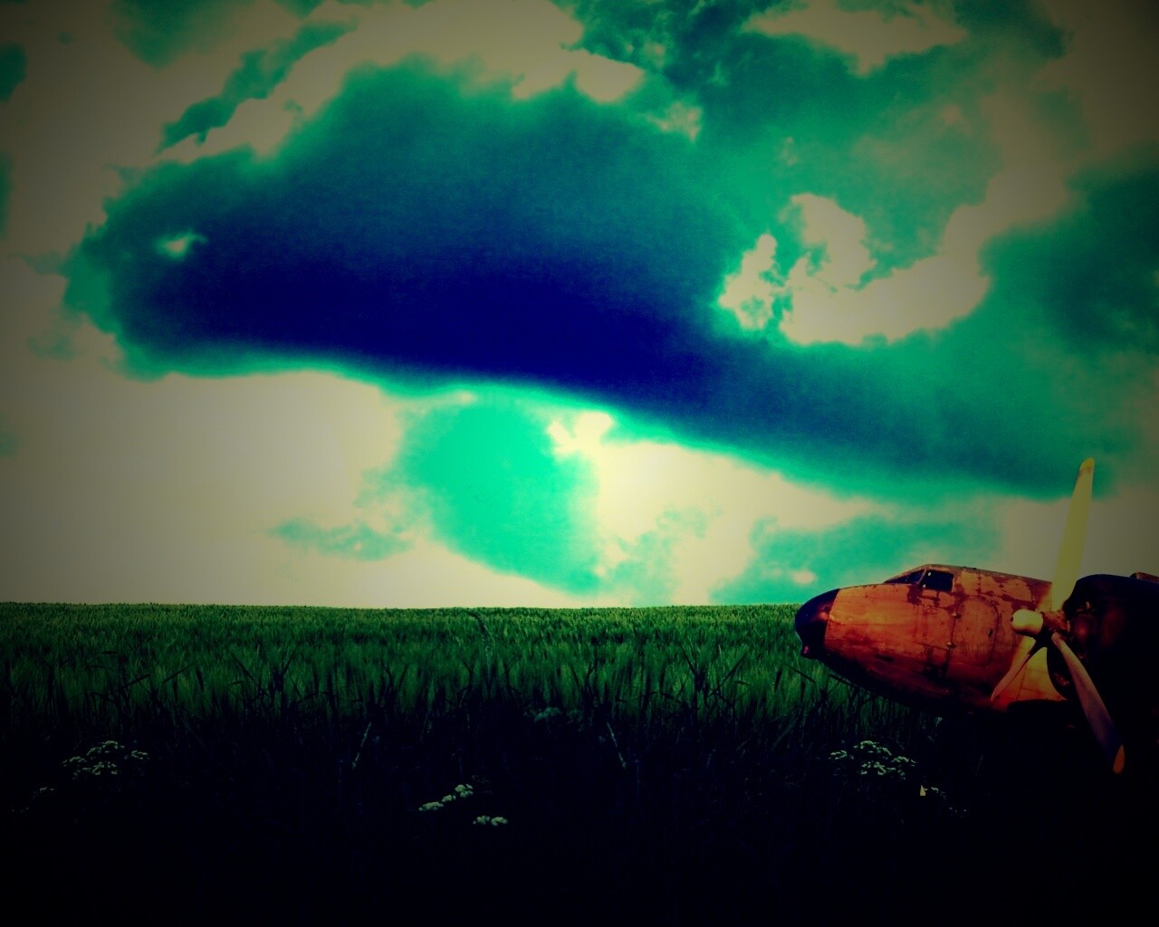 Старый ржавый самолет на лугу обои