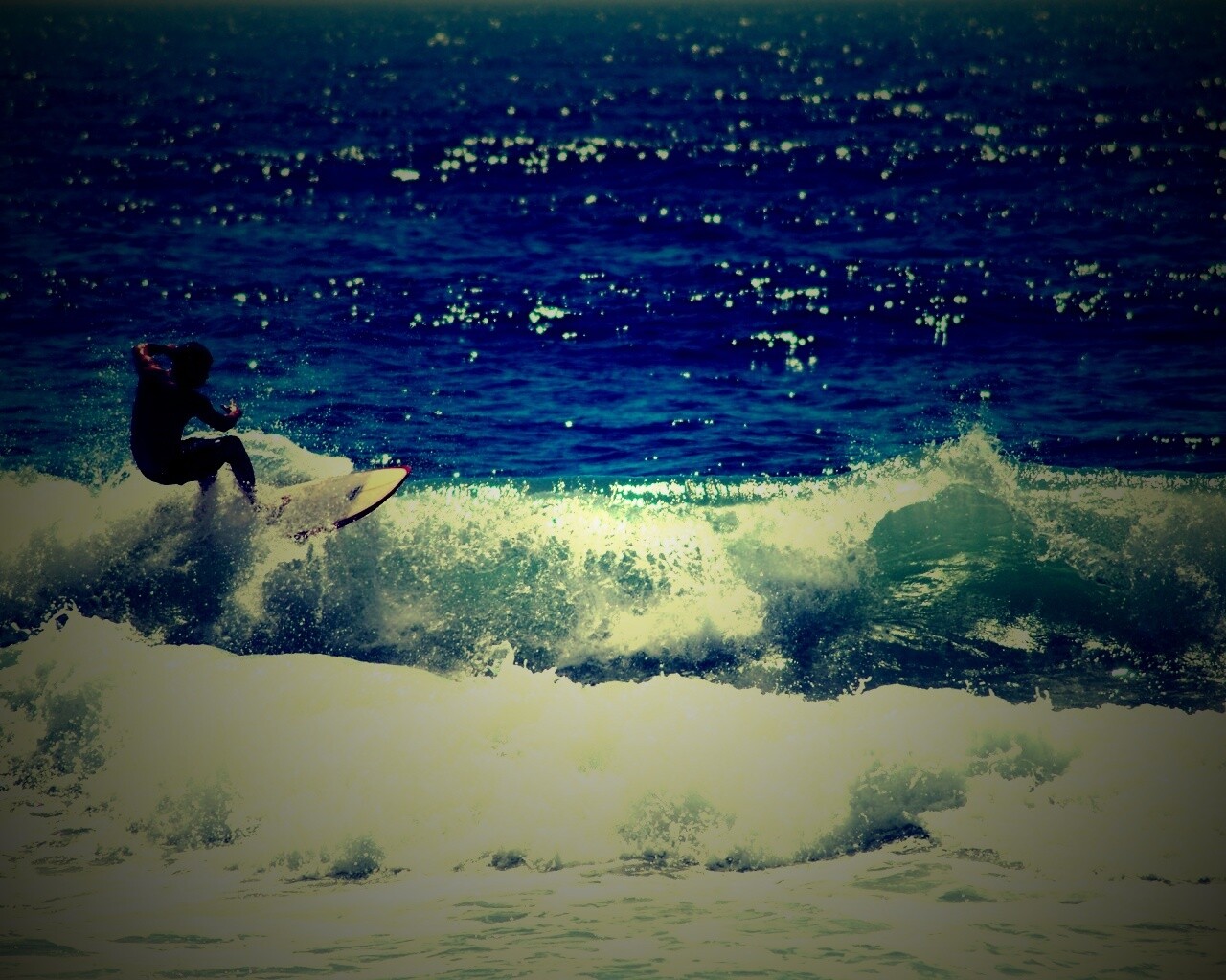 Сёрфенгист поймал волну обои